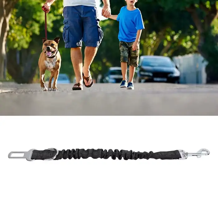 Laisse élastique pour chien facile à utiliser