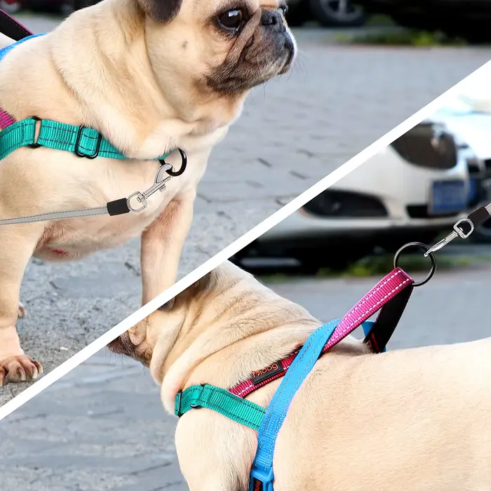SFP-Chiens rembourrés en nylon pour animaux de compagnie, Chiens moyens et grands, Chiens de coulée 