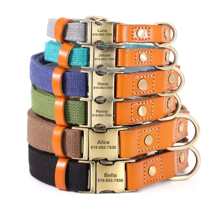 Ensemble de laisse de collier de chiot de chien personnalisé en Nylon, en cuir véritable, plaque sig