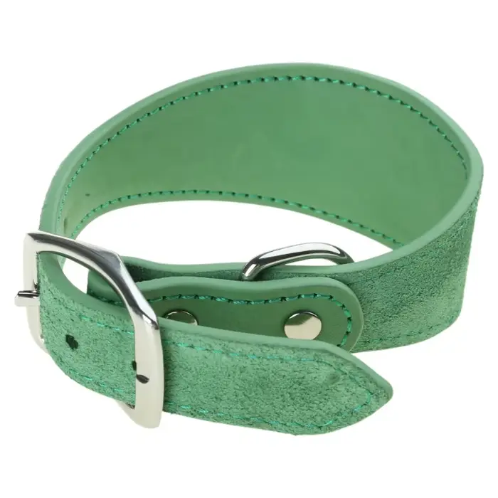Colliers en pour lévriers, rembourrage doux, larges, pour Whippets, Lurchers, Salukis, races moyenne