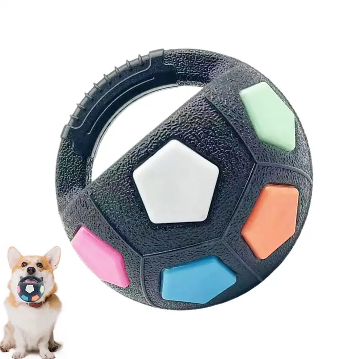 Jouet pour chien : Ballon de football flottant avec poignée