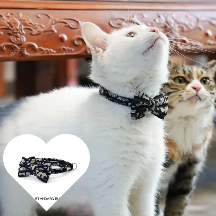 Accessoires pour animaux de compagnie