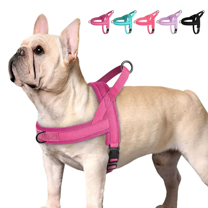 GlaSoft réglable en nylon rembourré pour animaux de compagnie, chien, chat, extérieur, sans côtes, b