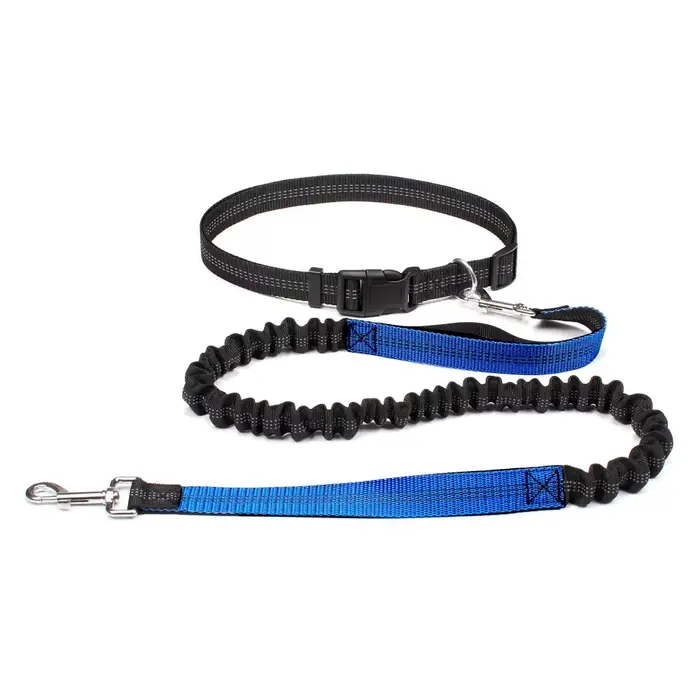 Laisse réfléchissante corde de Traction chien de compagnie ceinture de course mains élastiques libre