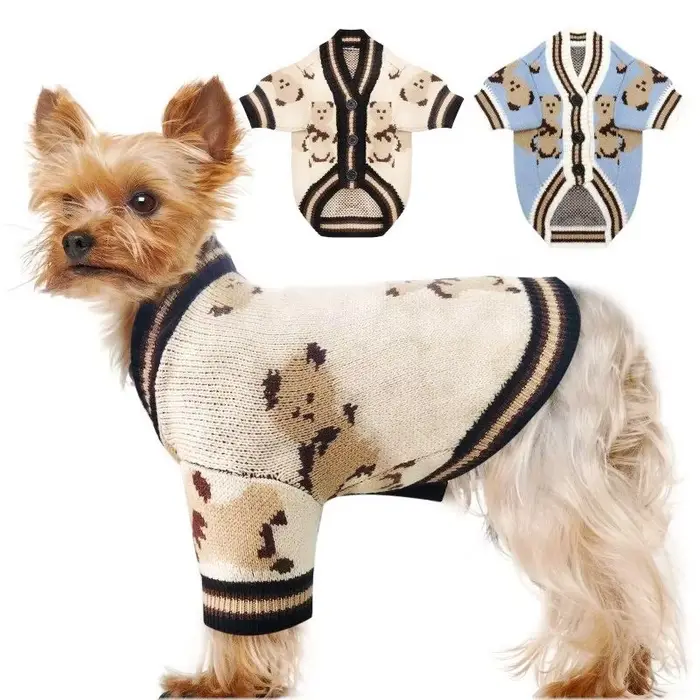 Pull pour chien de compagnie