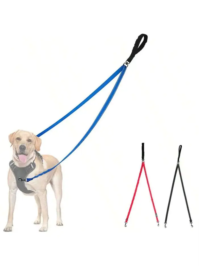 Laisse double pour chien