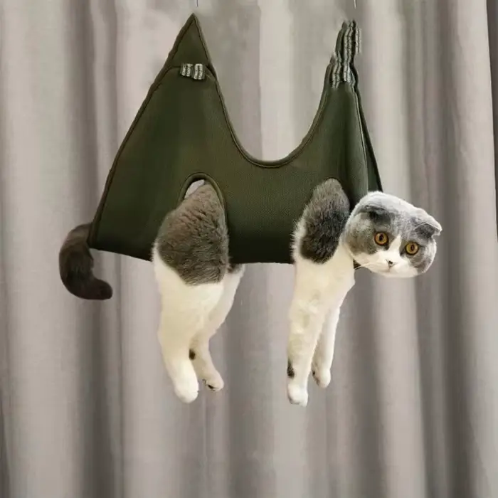 Suspension de beauté propre pour animaux de compagnie, soins pour chien et chat, bain pour chat et c