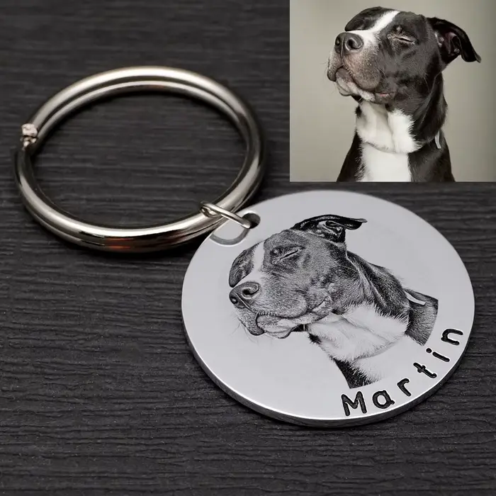 Plaque d'identification personnalisée pour chien avec photo, nouvelle médaille pour collier de chien