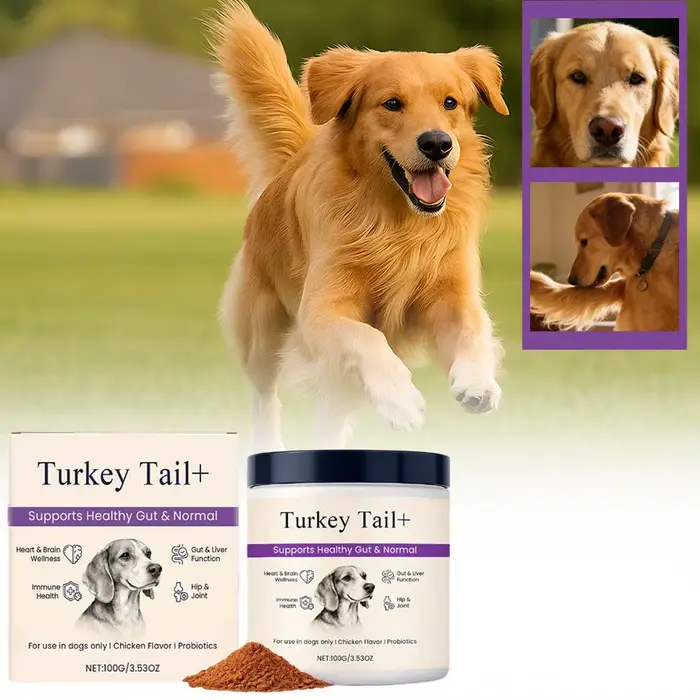 Poudre Probiotique pour Chiens Saveur Bacon Délicieuse Soutien Digestif Longue Durée de Conservation