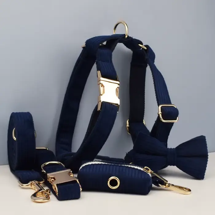 Ensemble collier et laisse pour chien en velours côtelé bleu violacé, plaque nominative gravée sur m