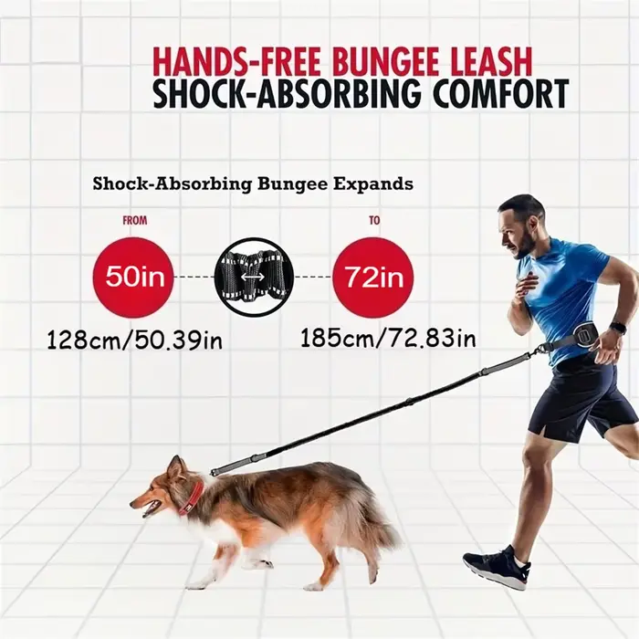 Laisse de chien mains libres