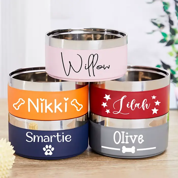 Bol pour animaux de compagnie personnalisé avec nom