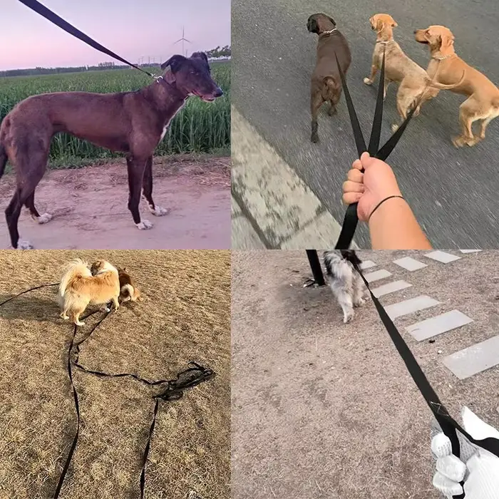 Laisse longue en Nylon pour animaux de compagnie