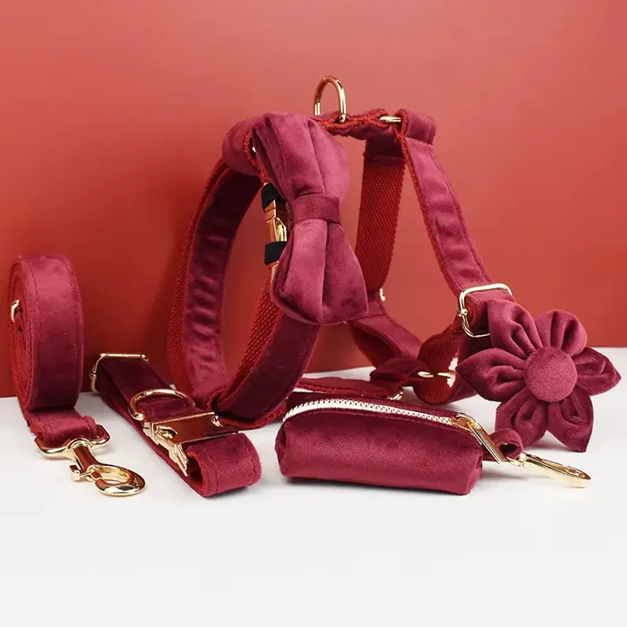Ensemble collier et laisse pour chien en velours rouge, pour grands chiens, plaque nominative gravée