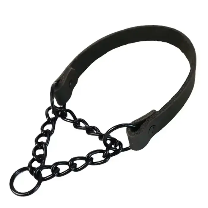 Collier ras du cou en cuir véritable pour chiens, chaîne antidérapante, réglable, sans traction, col