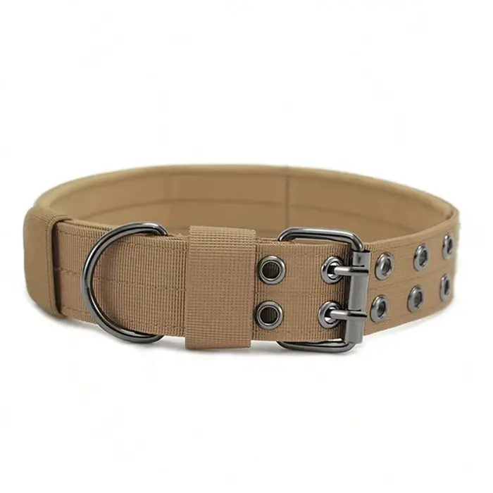 Collier militaire réglable pour chien, anneau en D et boucle en métal, collier de travail pour chien