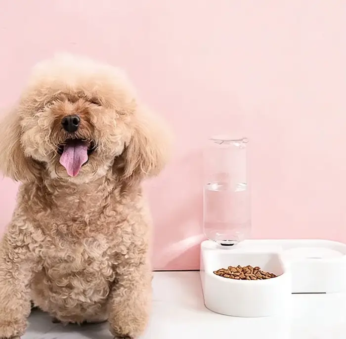Bol double pour chien et chat - Ensemble de bols pour animaux de compagnie et pour la nourriture