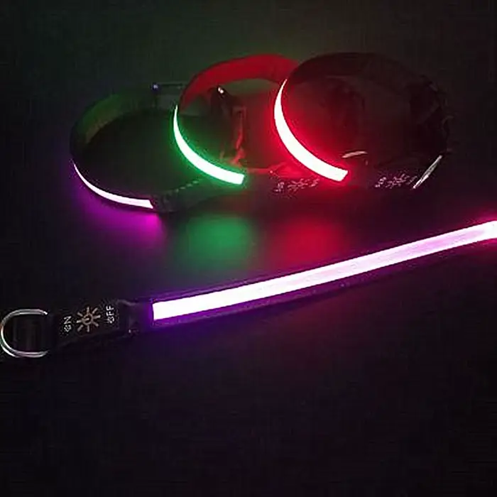 Collier lumineux LED pour chien