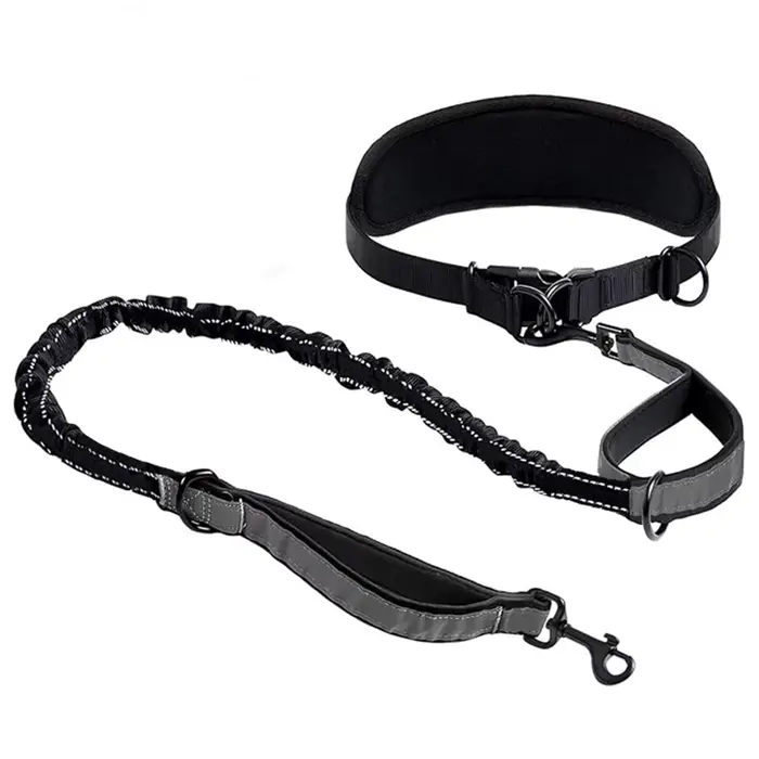 Laisse pour chien mains libres avec ceinture de soutien lombaire, laisse multifonctionnelle extensib