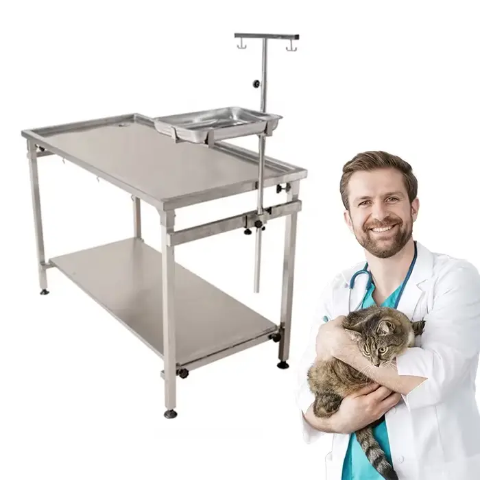 Table de toilettage Portable et robuste pour animaux de compagnie, Table d'examen vétérinaire, Table