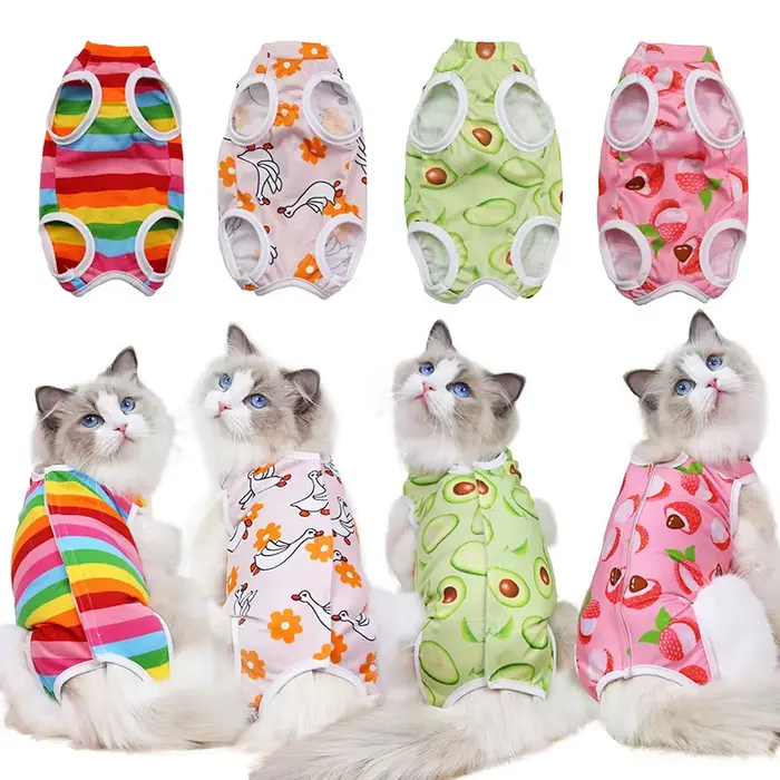 Combinaison de récupération professionnelle pour chat, pour blessures abdominales ou maladies cutané