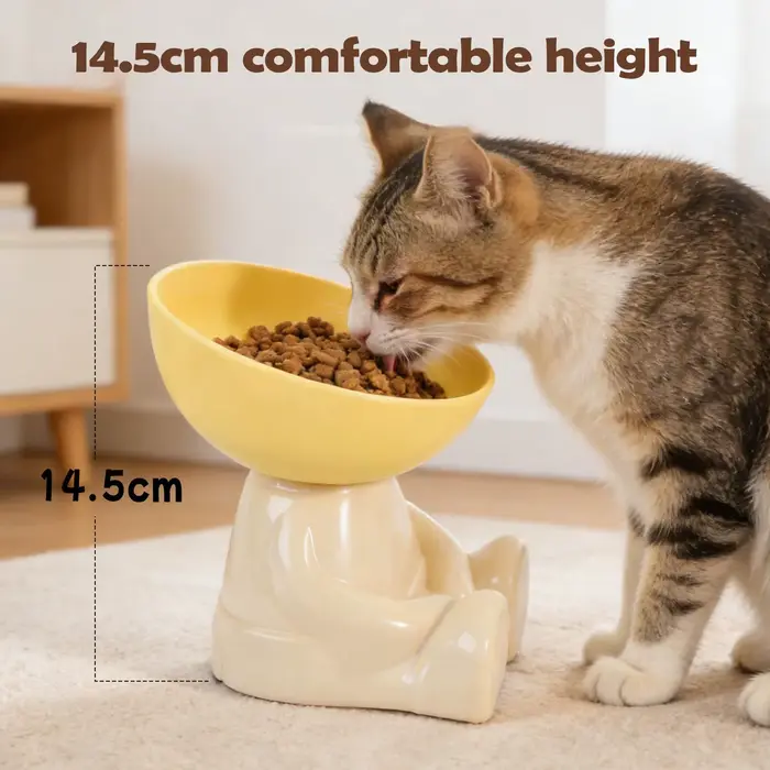 Bols d'alimentation pour chats et chiens, gamelle surélevée antidérapante pour animaux de compagnie, idéale pour la cuisine, les vacances, l'appartement et l'intérieur