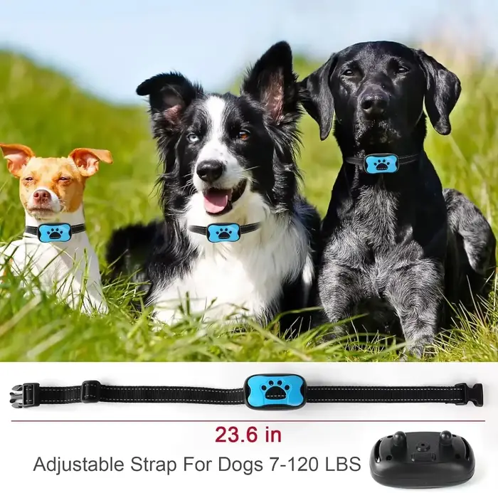 Collier de dressage anti-aboiement rechargeable pour chien