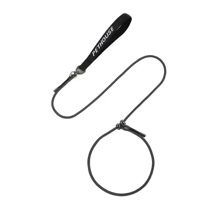 Laisse antidérapante pour chien, pour chiot, petits chiens, entraînement et marche, corde en Nylon, 