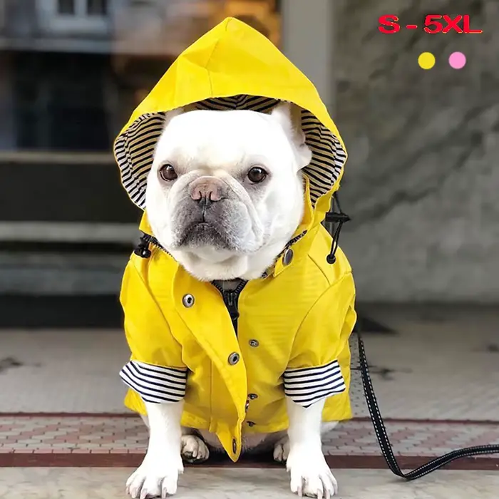 Manteau imperméable pour chien