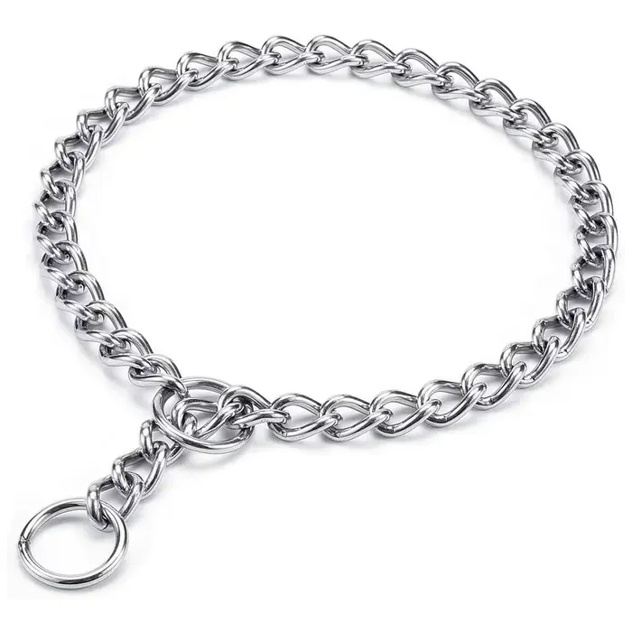Collier de starter pour chien