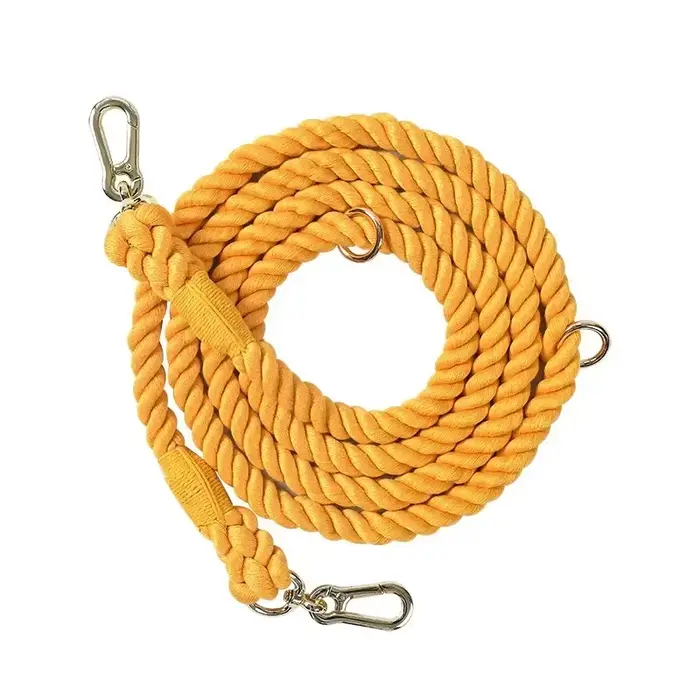 Laisse multifonctionnelle à double tête pour chien, tressage, laisse d'entraînement, accessoires dor
