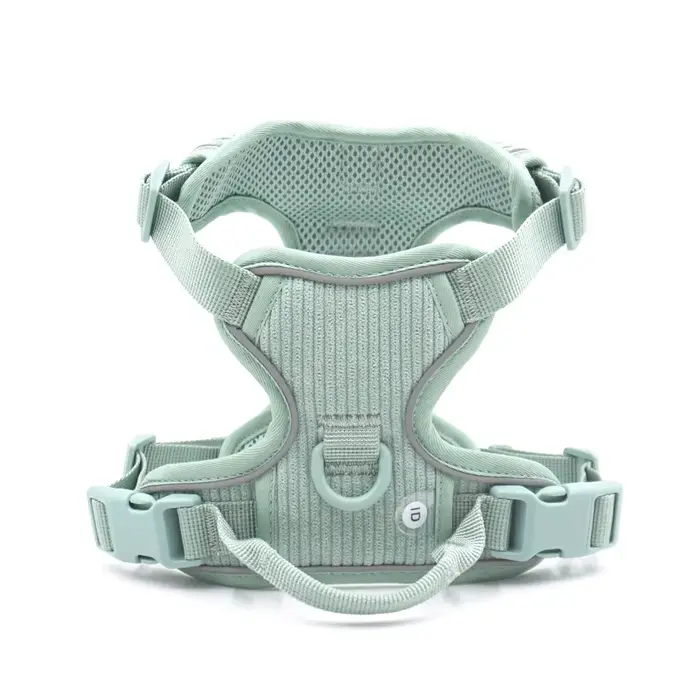 Collier pour chien personnalisé, harnais pour chien gravé sur mesure, ensemble collier et laisse de 