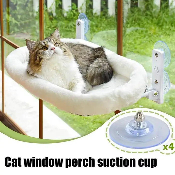 Tampons d'aspiration transparents avec vis pour chat, vis de perchoir de fenêtre pour chat, poids ma