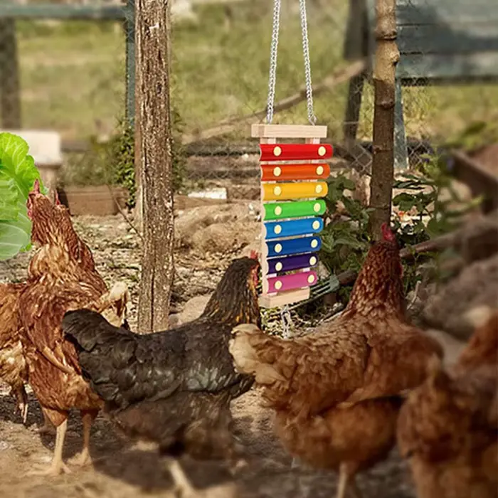Jouet Xylophone pour oiseaux, poulet, Cage à oiseaux suspendue en bois, accessoires, jouet Musical a