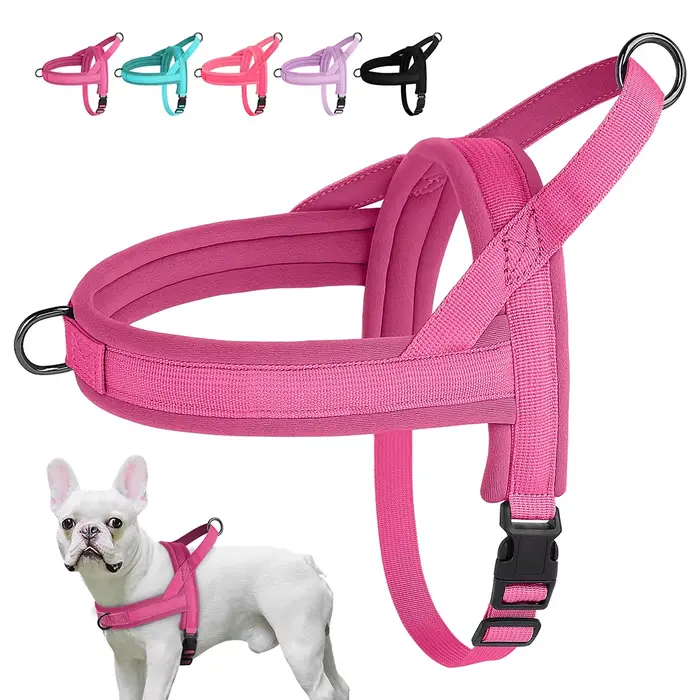 Harnais en Nylon rembourré doux pour chien, sans traction, gilet réglable pour chiot, carlin, gilet 