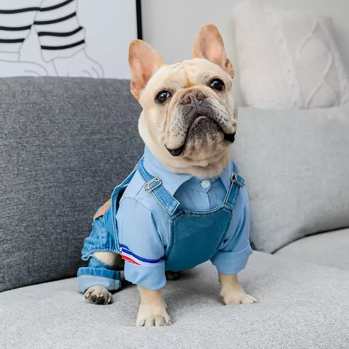Denim chien manteau automne hiver animaux chiens vêtements gros