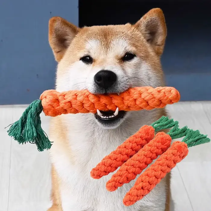 1 pièces carotte chien morsure corde