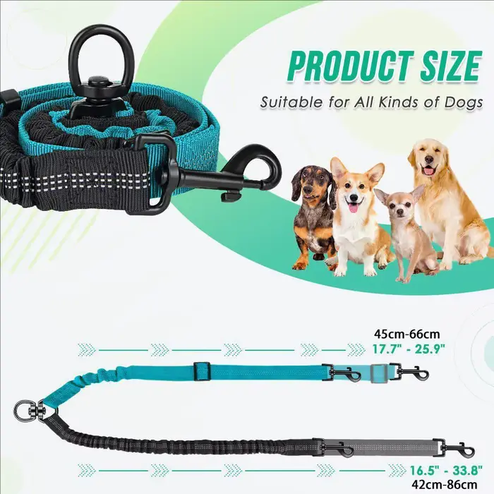 Laisses doubles pour chiens de compagnie