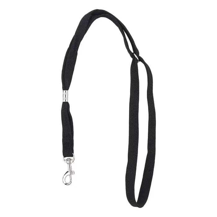 Laisse réglable et Durable pour chien, en Nylon, boucle de verrouillage pour animaux de compagnie, h