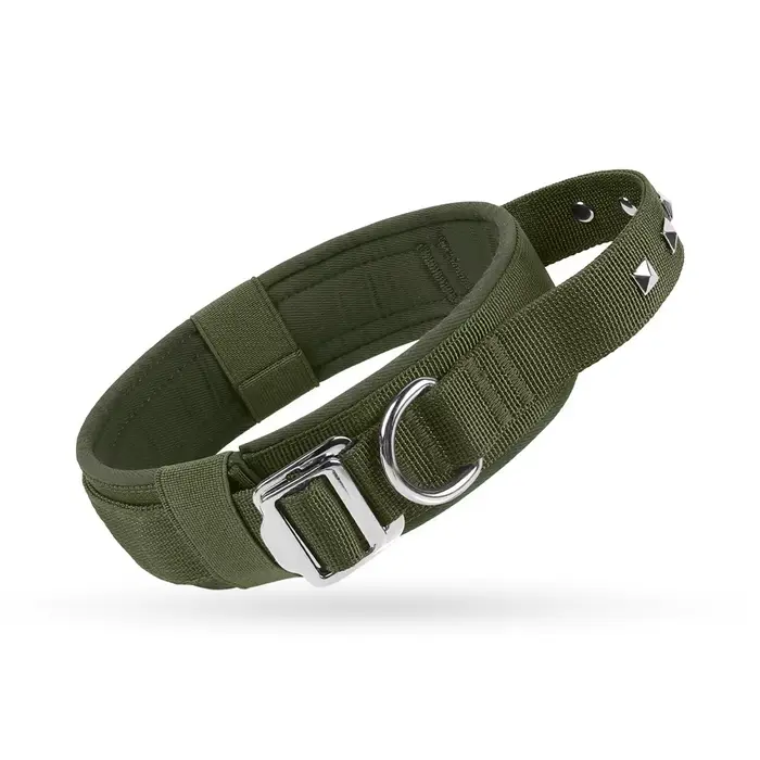 Collier d'entraînement pour chien réglable et pratique, respirant, robuste, avec rivets, boucle en m