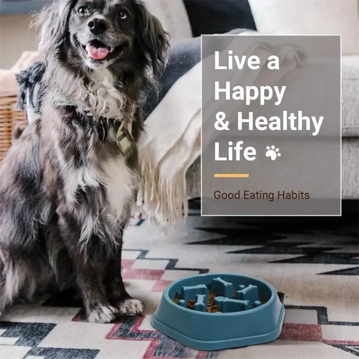 Bol anti-étouffement pour chien