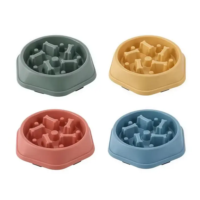 Bol de nourriture lente pour chien et chat