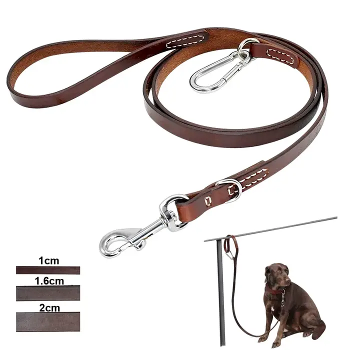 Laisse pour chien Pitbull en cuir
