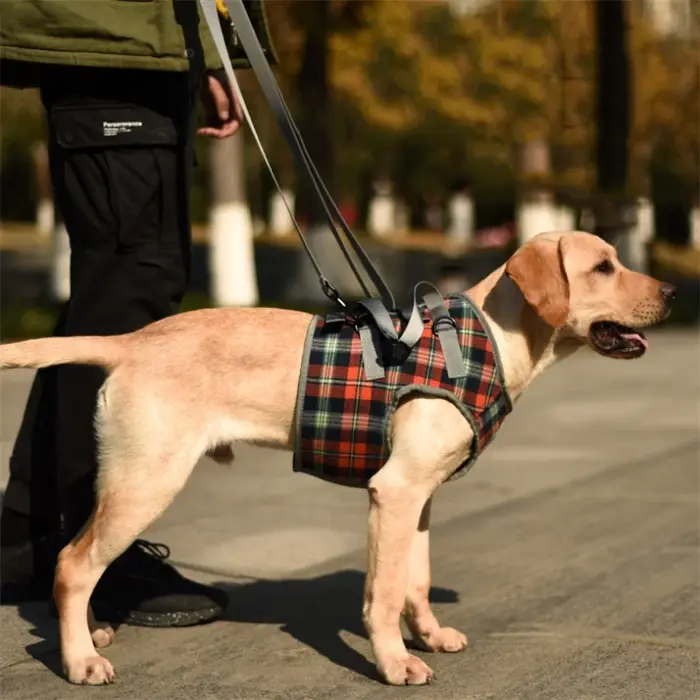 Harnais de soutien pour chiens handicapés, grille, levage, rééducation, écharpe de soutien de la tai