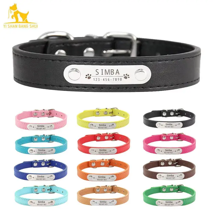 Collier de chien personnalisé avec nom sculpté
