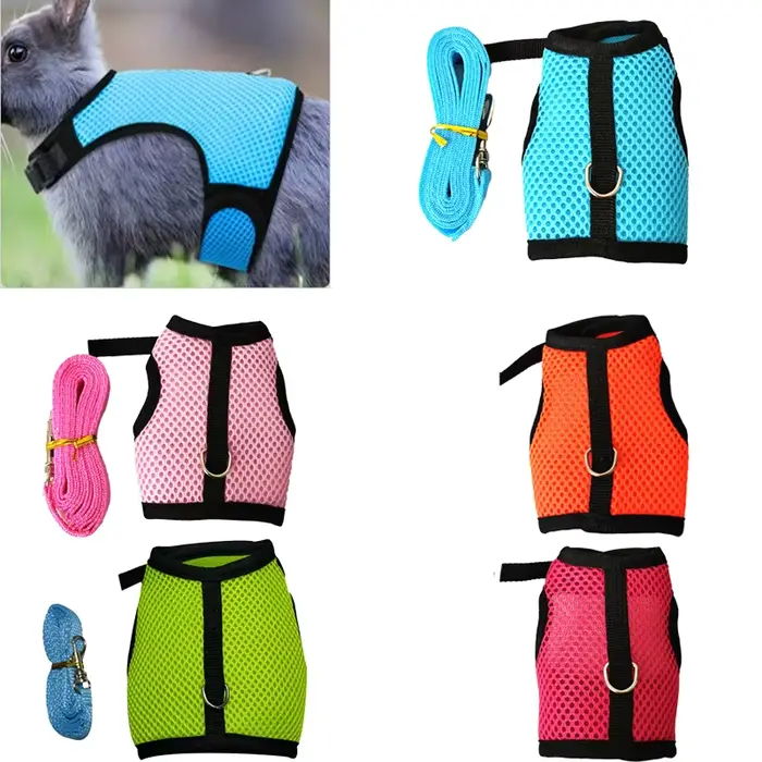 Ensemble d'accessoires pour animaux de compagnie HarNISSAN, maille souple, SFP avec laisse, petit an