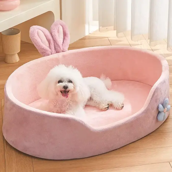Canapé pour chien, accessoires pour chiens