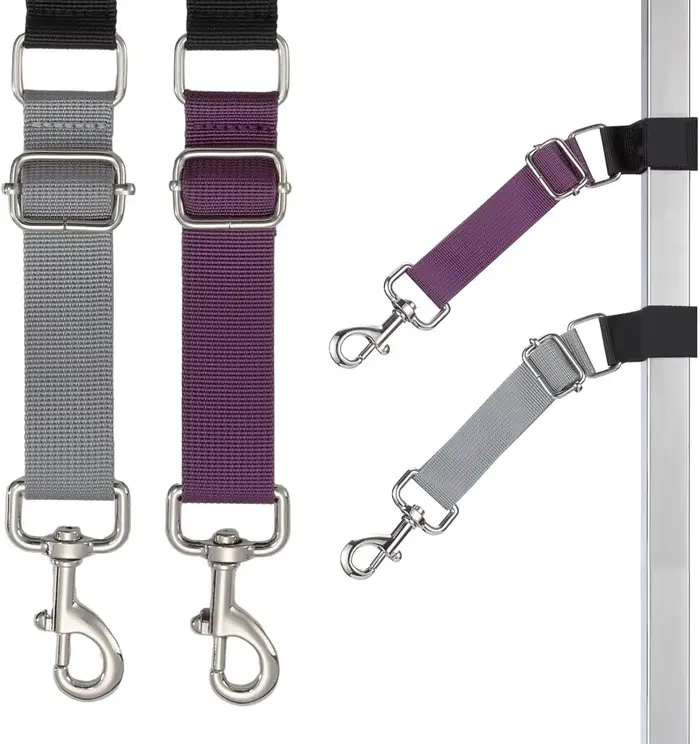 2 pièces accessoires de bras de laisses de base de toilettage de chien de compagnie, sangles d'exten