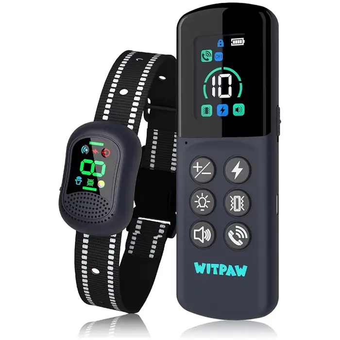 Collier de dressage pour chien 4900FT avec télécommande vocale, lumière LED, étanche IP67, rechargea