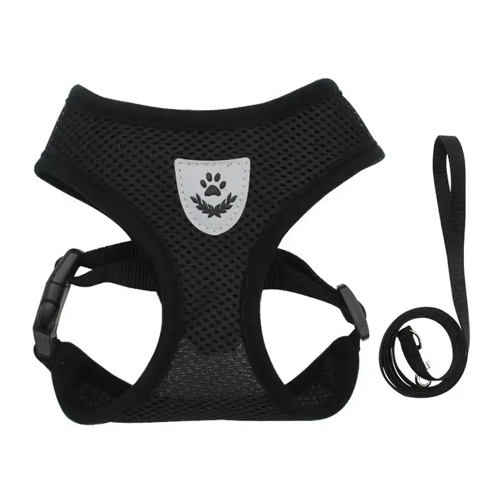 Laisse et harnais pour chat, tente pour chaton, sangle de cou pour chats, Anti-évasion, gilet pour a